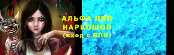 ГАЛЛЮЦИНОГЕННЫЕ ГРИБЫ Заволжье