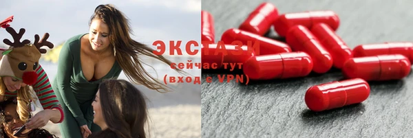 ГАЛЛЮЦИНОГЕННЫЕ ГРИБЫ Заволжье