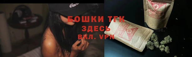 дживик Заводоуковск