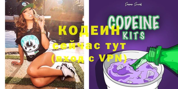 дживик Заводоуковск