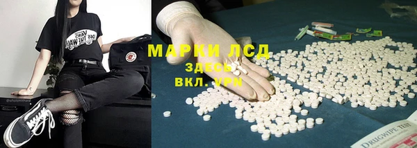 ГАЛЛЮЦИНОГЕННЫЕ ГРИБЫ Заволжье