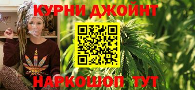 сатива Лесосибирск