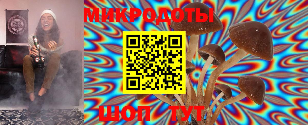 Галлюциногенные грибы MAGIC MUSHROOMS Ивантеевка